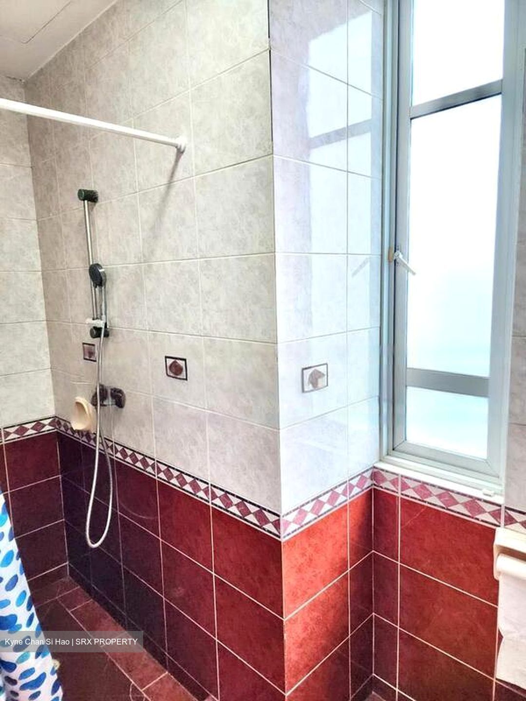 Cavendish Park (D21), Condominium #465443171